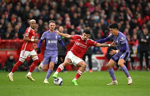 Expert Draw Bet Tips for Success